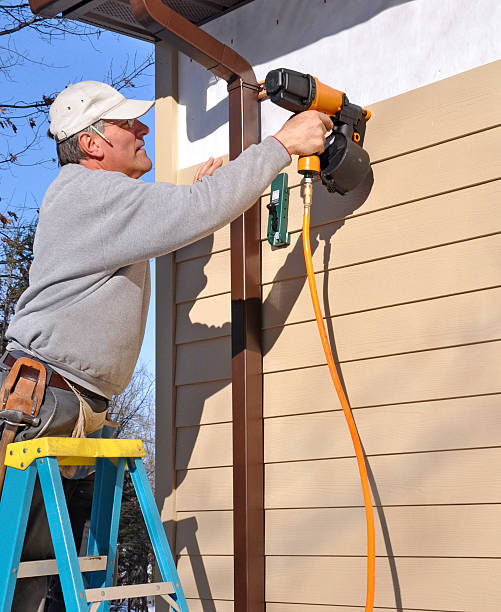 Best Siding Replacement  in USA